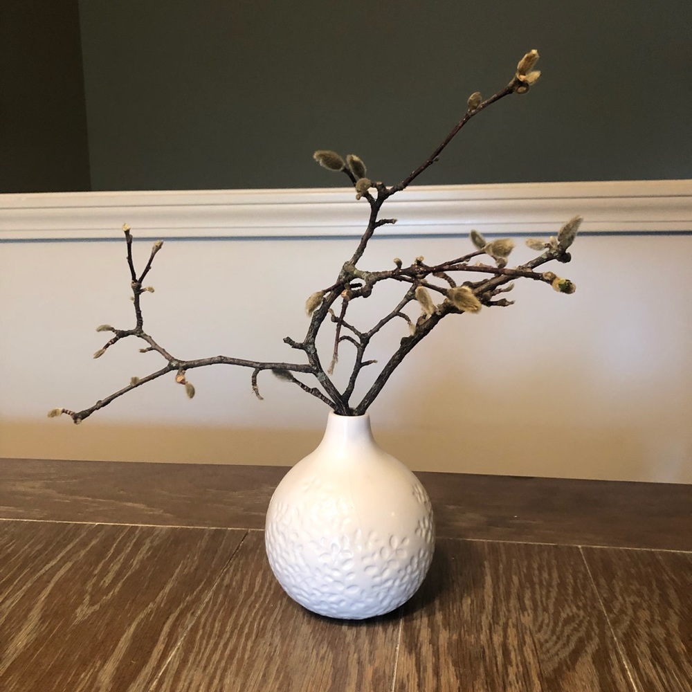 Crate & Barrel Lucy vase